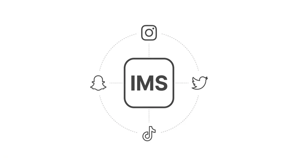 IMS meaning on Snapchat TikTok Instagram and Twitter