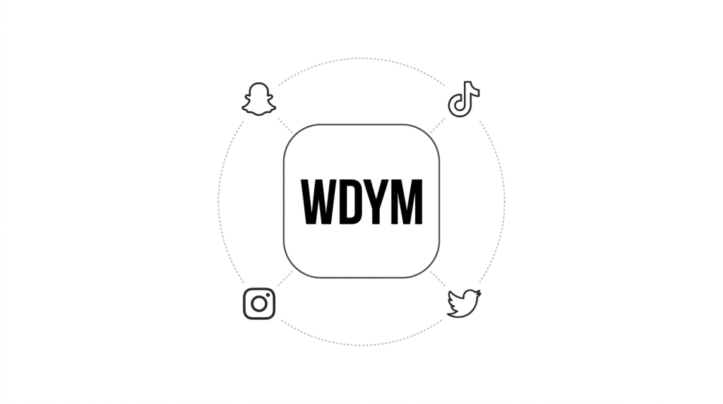 WDYM meaning on Snapchat TikTok Instagram and Twitter