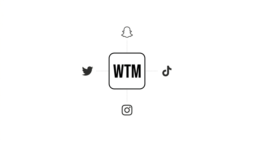 WTM meaning on Snapchat TikTok Instagram and Twitter