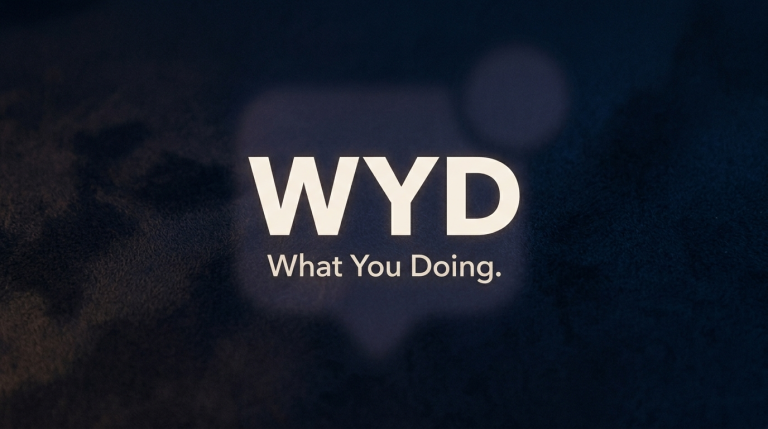 WYD mean in text