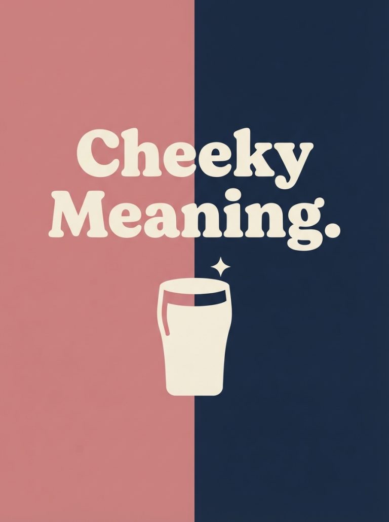 cheeky meaning